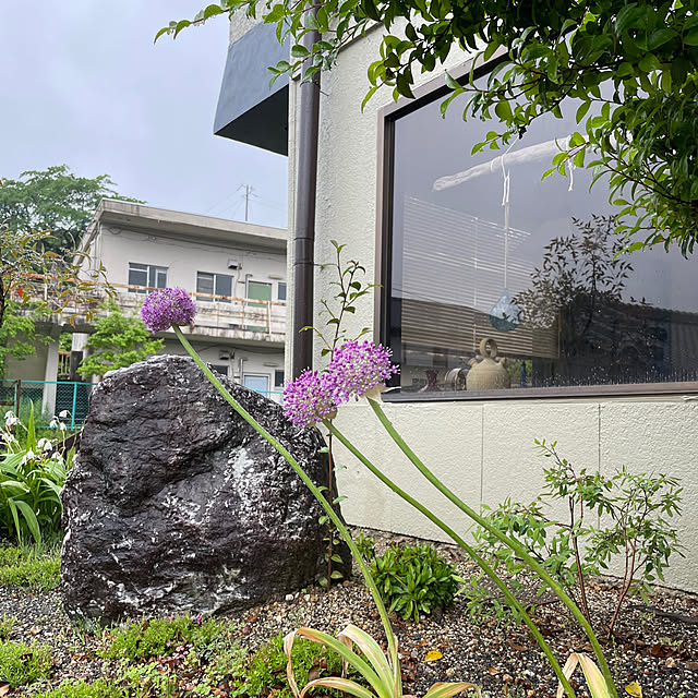shin0719さんの実例写真