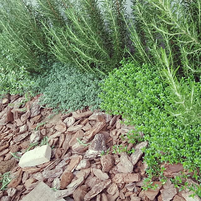 a-gardenさんの実例写真