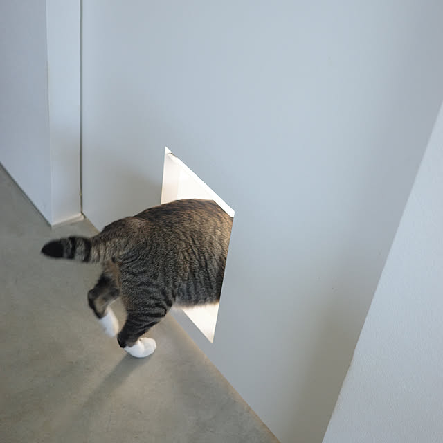 ______tnoieさんの部屋