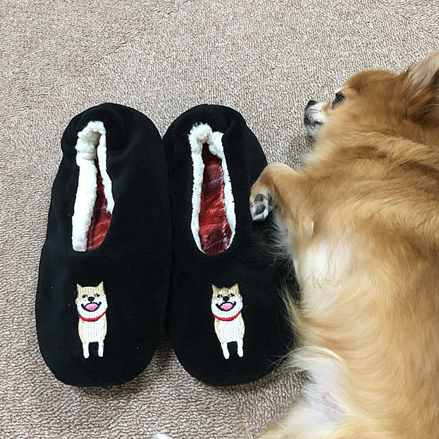 koroさんの実例写真