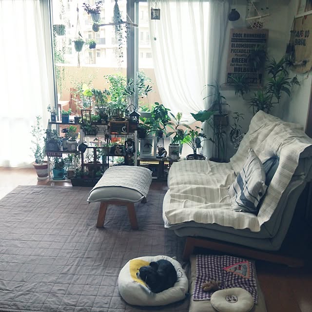 satominさんの実例写真