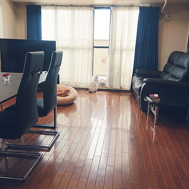 NOAHさんの部屋