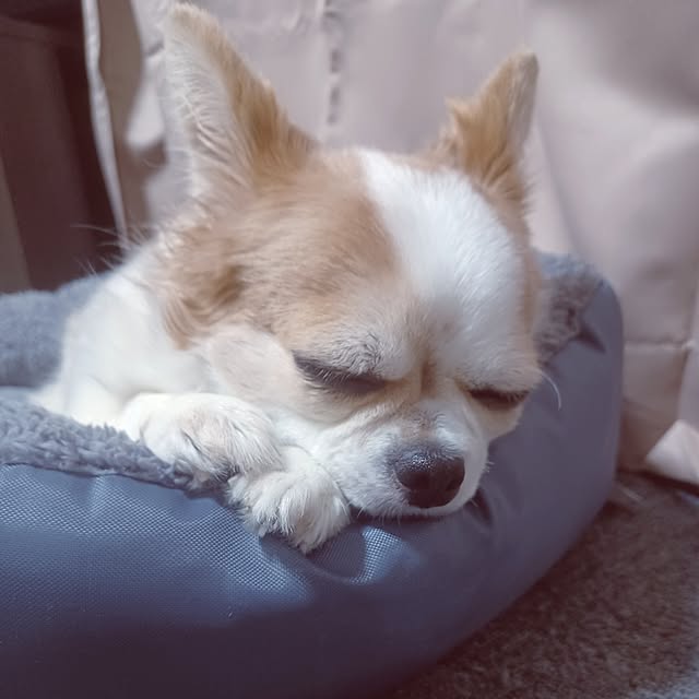 hiro.904さんの部屋