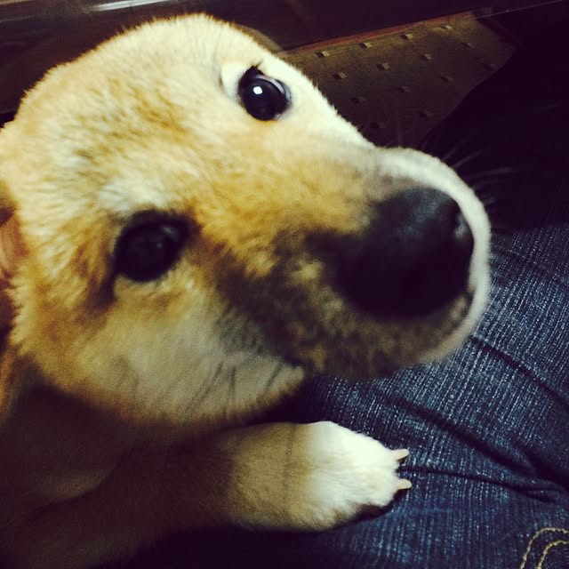 toi114さんの実例写真