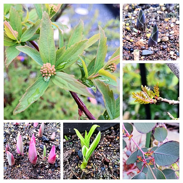 NSDさんの実例写真