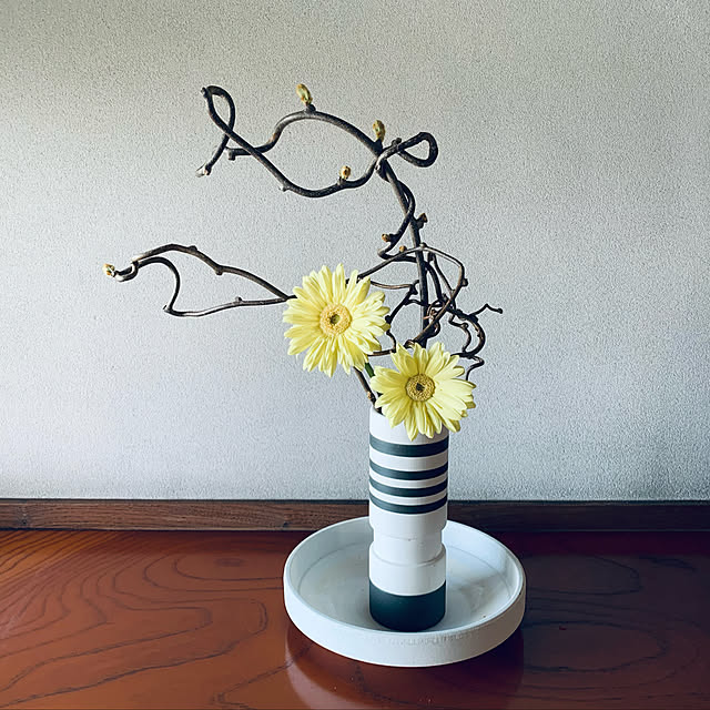 ナシヅルの芽が可愛いい♡/フラワーベースonフラワーベースです。/黄色のデイジーがアクセントです。/ナシヅルがまだ元気なのでリメイクしました/いつもご覧頂き、とても嬉しいです♡...などのインテリア実例 - 2021-03-27 13:31:44