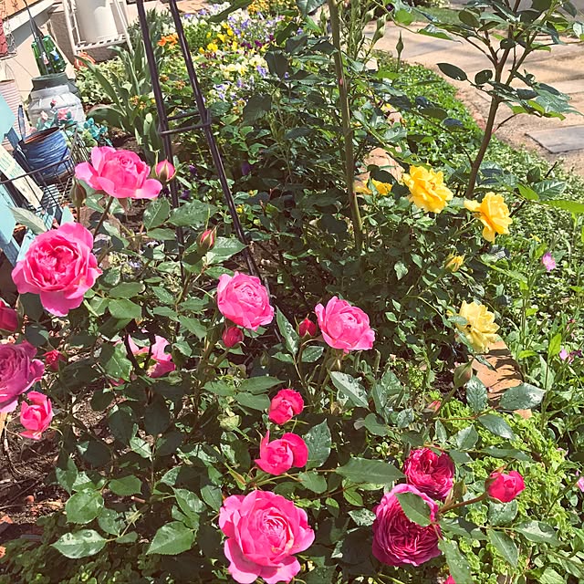 yuakimamさんの実例写真