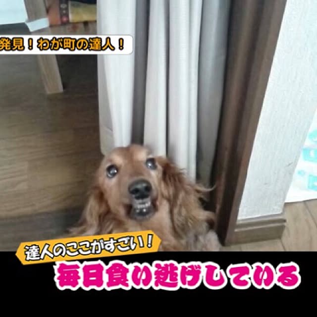 Yorikoさんの実例写真