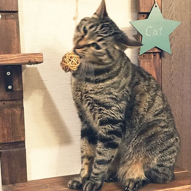 mayuさんの実例写真