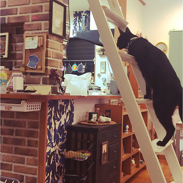 jijiさんの実例写真