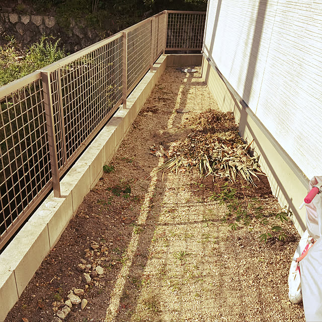 sakura0325さんの実例写真