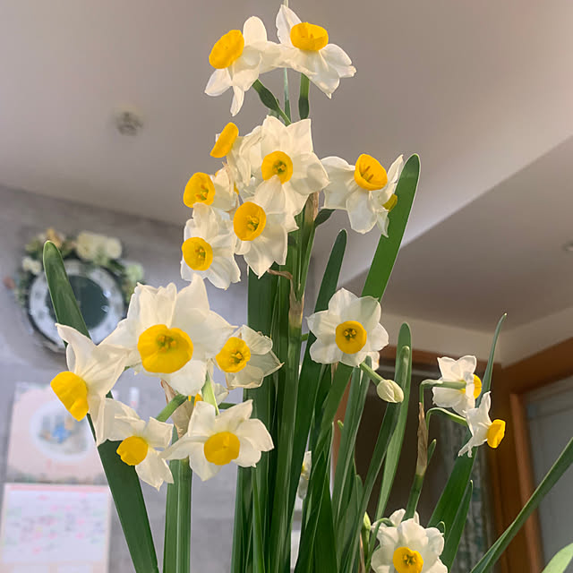 Aqettyさんの部屋