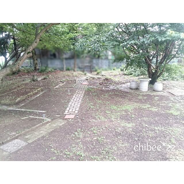 asuka_chibeezzさんの実例写真