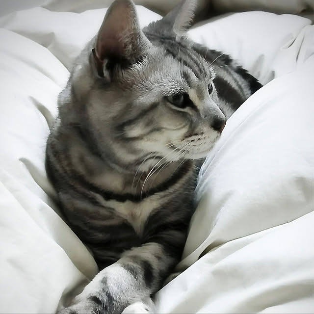 yuri.sさんの実例写真
