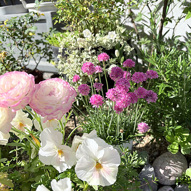 chipsさんの部屋