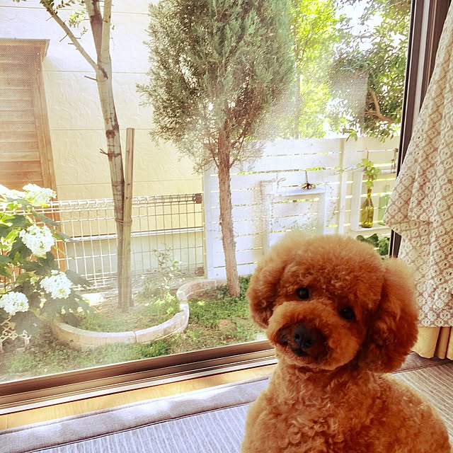 kazuさんの実例写真
