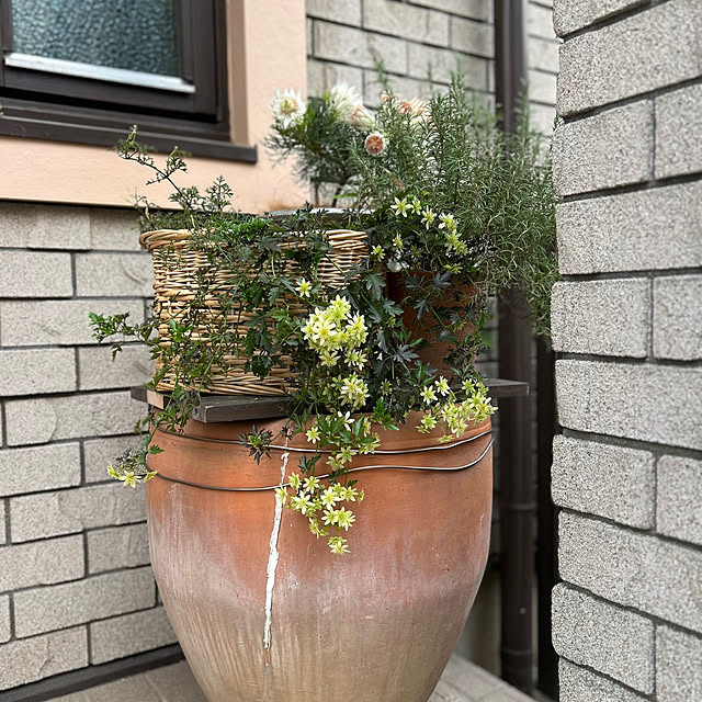 botanさんの部屋