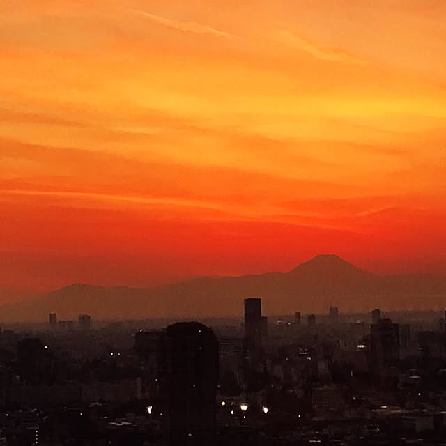 kayotannさんの実例写真