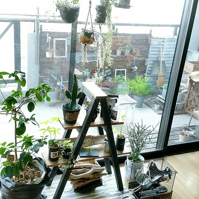 yuriyanaさんの実例写真