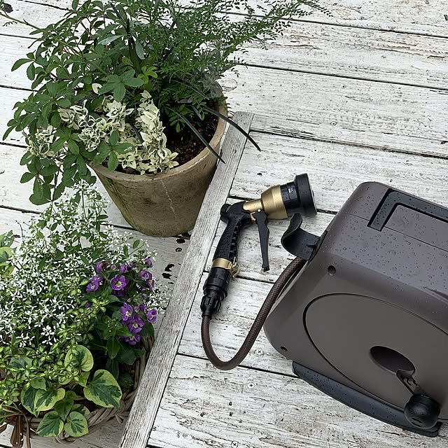 Royal_Gardeners_Clubさんの実例写真