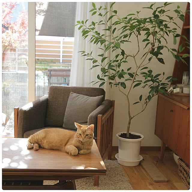 Hisashiさんの部屋