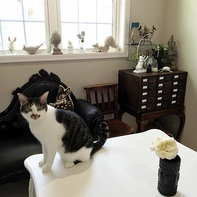 yuchiさんの実例写真