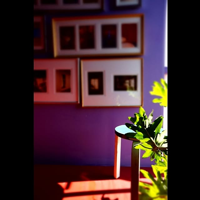 Design papa Ka-tuさんの実例写真