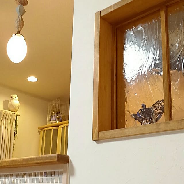 naive.coccoさんの実例写真