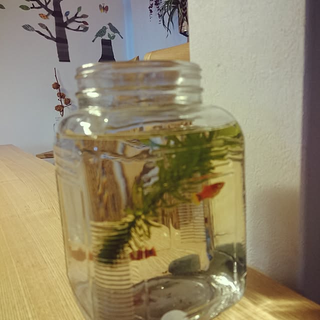 monblanさんの実例写真