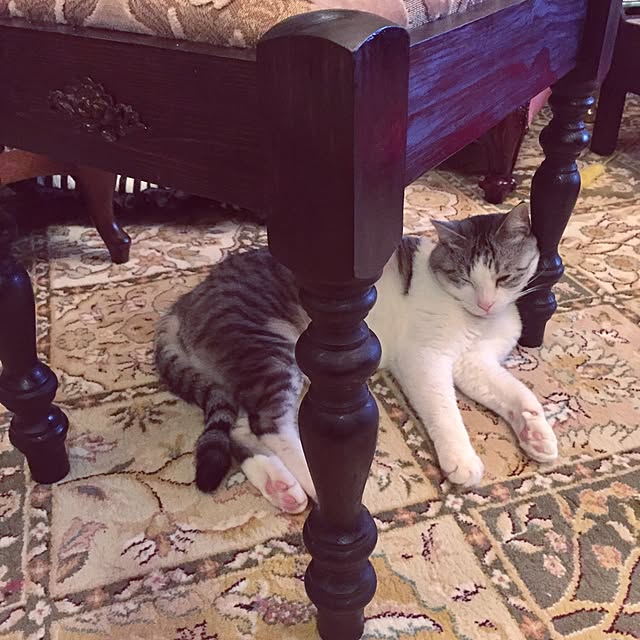 emmyyさんの実例写真