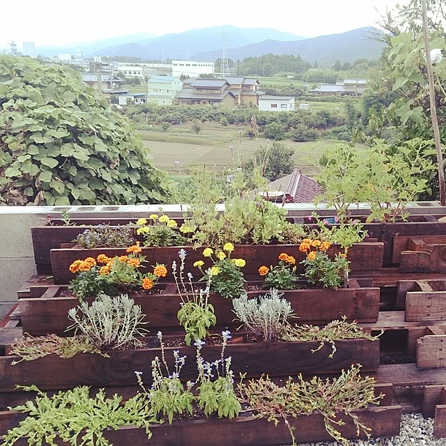 shinshiromurasanさんの実例写真