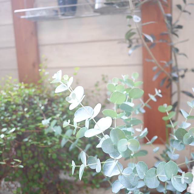 keitanさんの実例写真