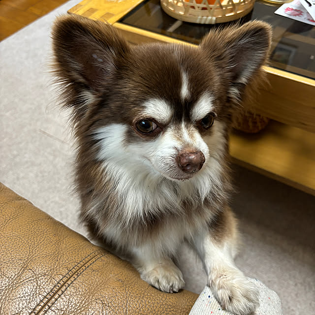 chIoeさんの部屋
