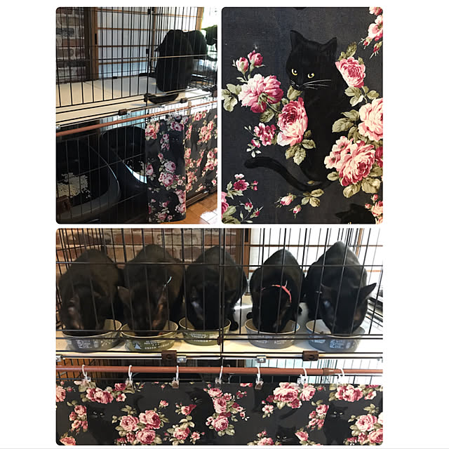 miseiさんの実例写真
