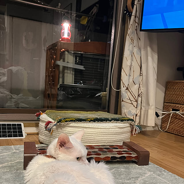 hanaさんの実例写真