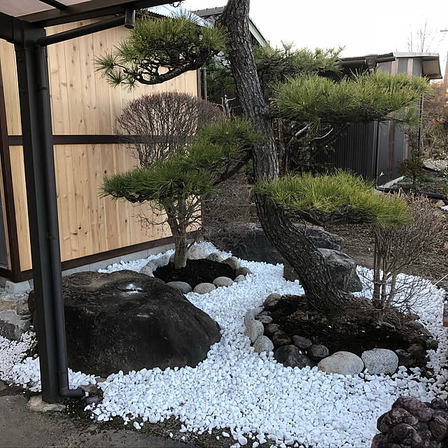Toppyさんの実例写真