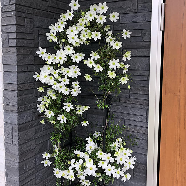 nanachanmamaさんの実例写真