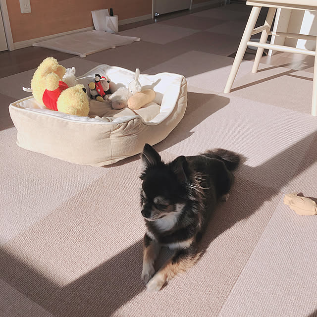 risakoさんの実例写真