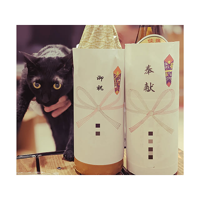 Pokkeさんの実例写真
