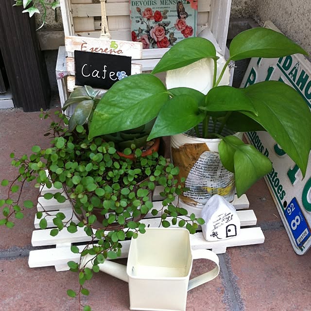 rieさんの実例写真