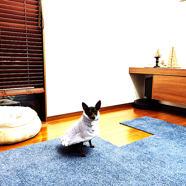 shizuponさんの実例写真