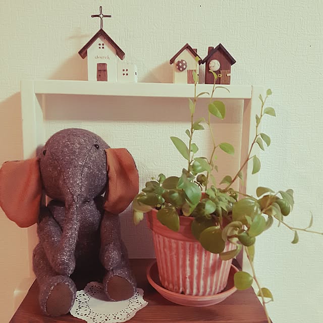 myuさんの実例写真