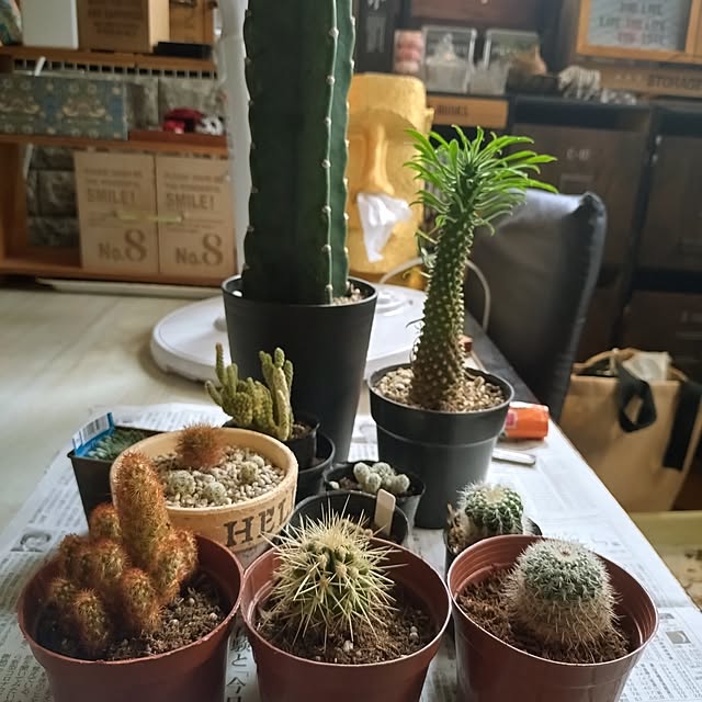 2menmamaさんの部屋