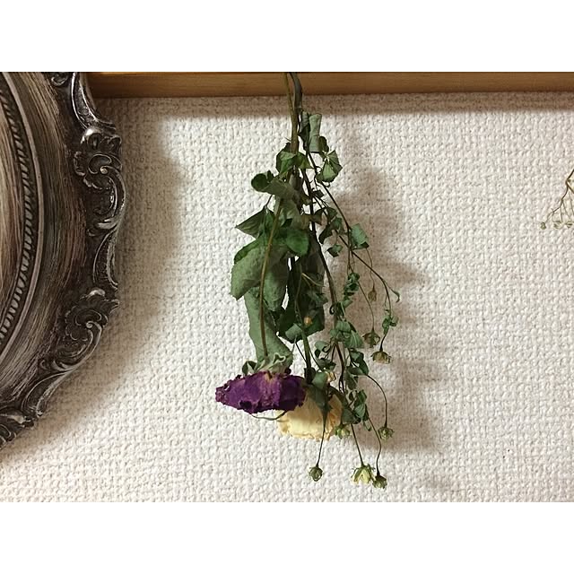 machanさんの実例写真