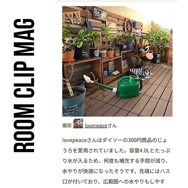 実例写真