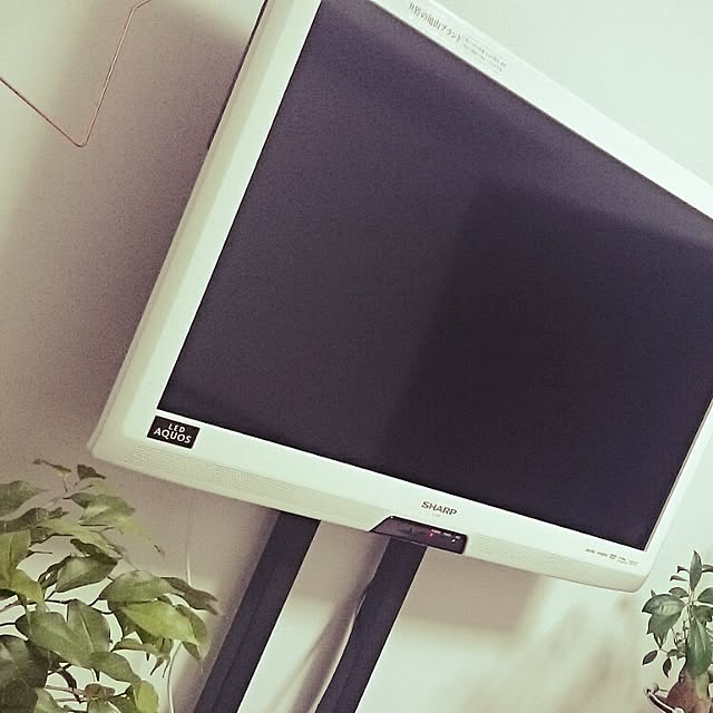 ayuco_7さんの実例写真