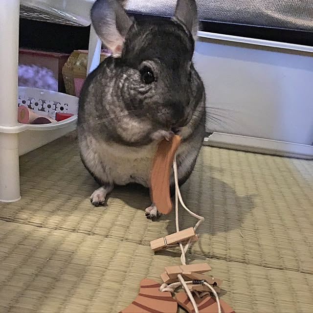 bambiさんの実例写真