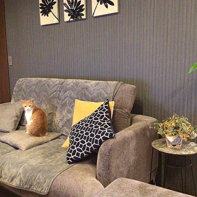 houenさんの部屋