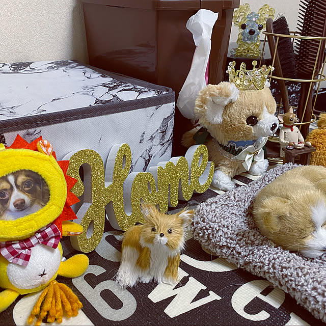 chocoさんの実例写真