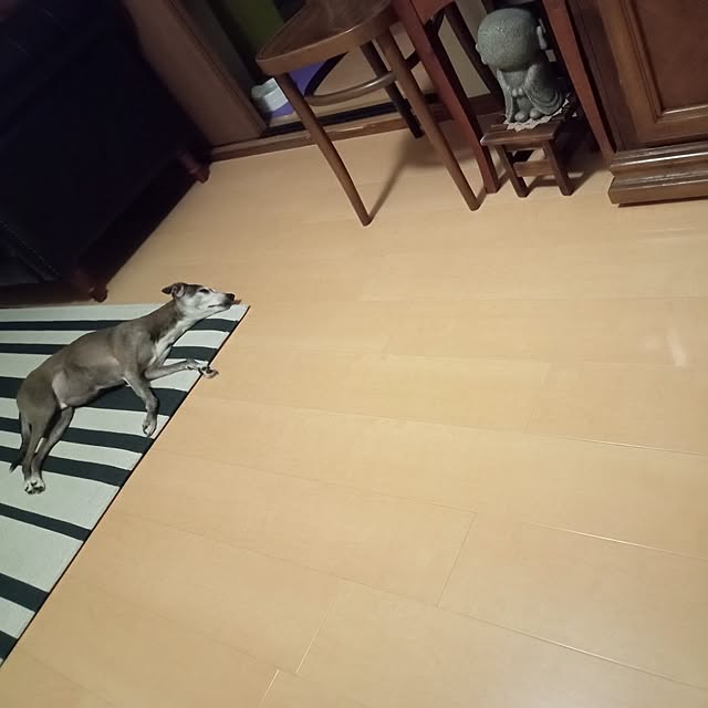 moruさんの部屋